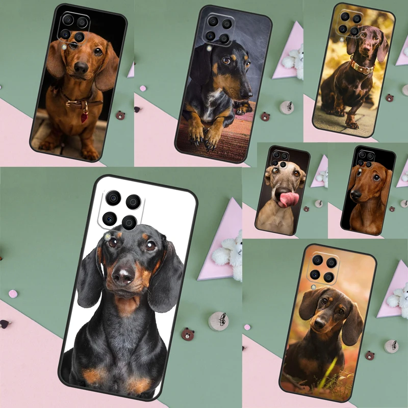 Dachshund Dog For S…