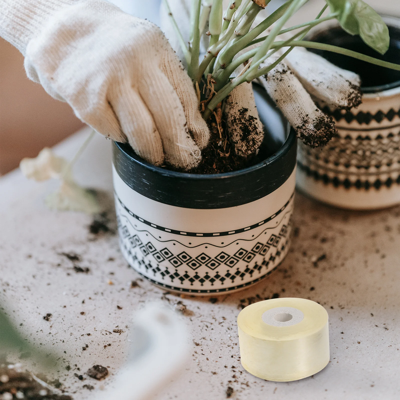 5 قطعة 5 لفات بولي كلوريد الفينيل تطعيم فيلم ذاتية اللصق شفافة لمط النبات التفاف الفيلم لحديقة تطعيم أداة برعم الحماية