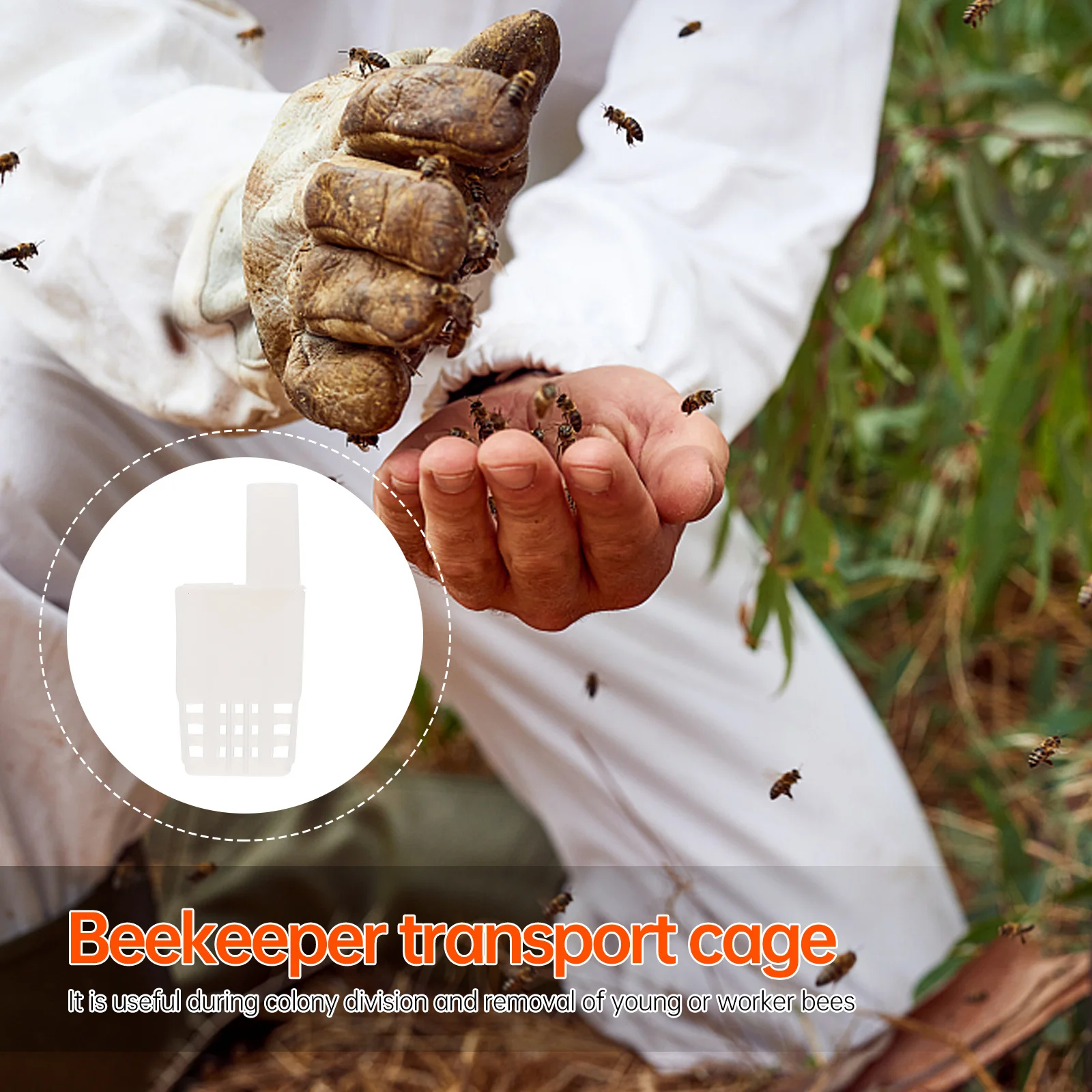 

10Pcs Bee Queen Cages Plastic Essential Beekeeping Tool Easy Transport Storage Isolation Cage Bee Cages Beekeeping Supplies