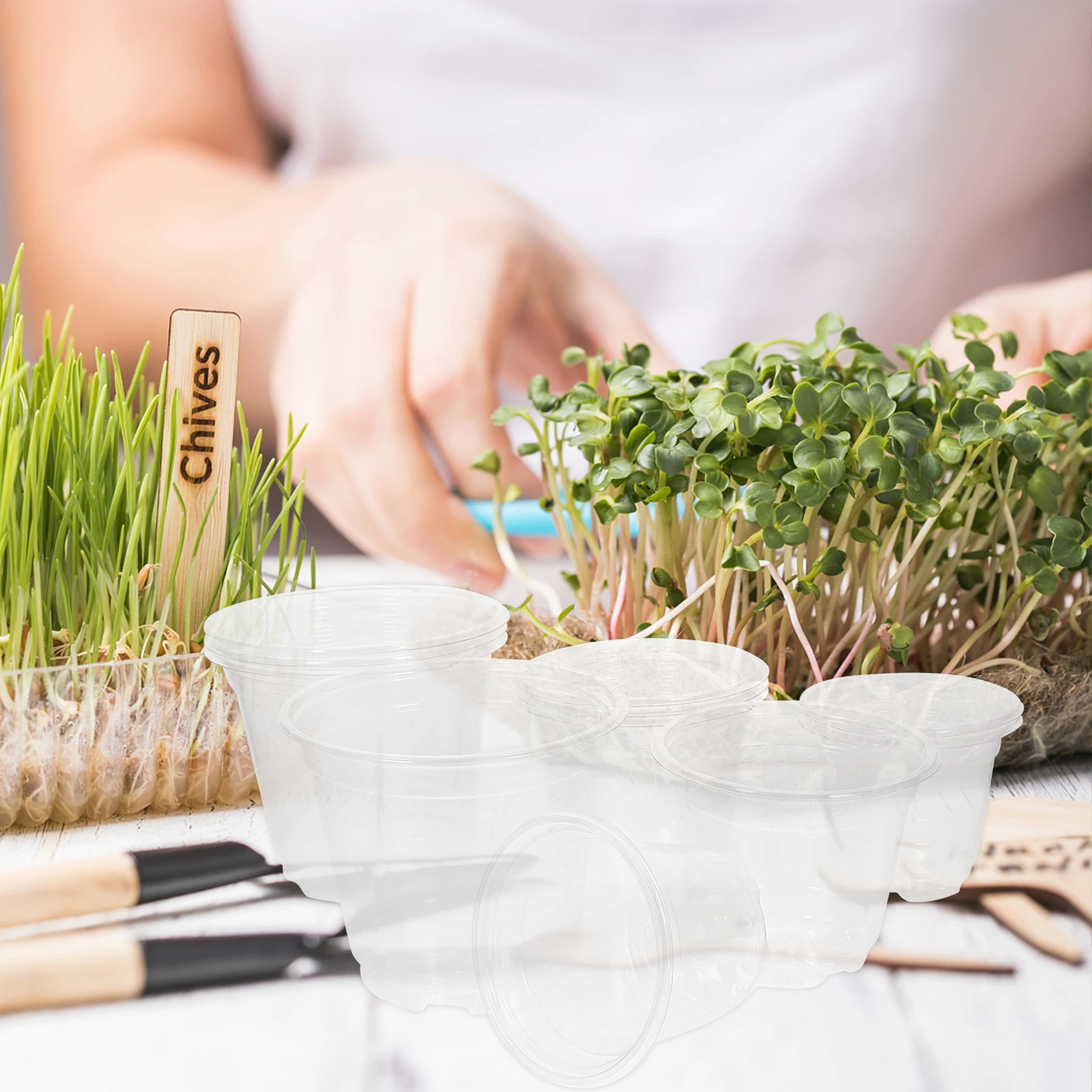 

12pcs Insulated Breathable Flower Pots Clear Plastic Nursery Pots With Drainage Holes For Indoor Outdoor Planting Succulent