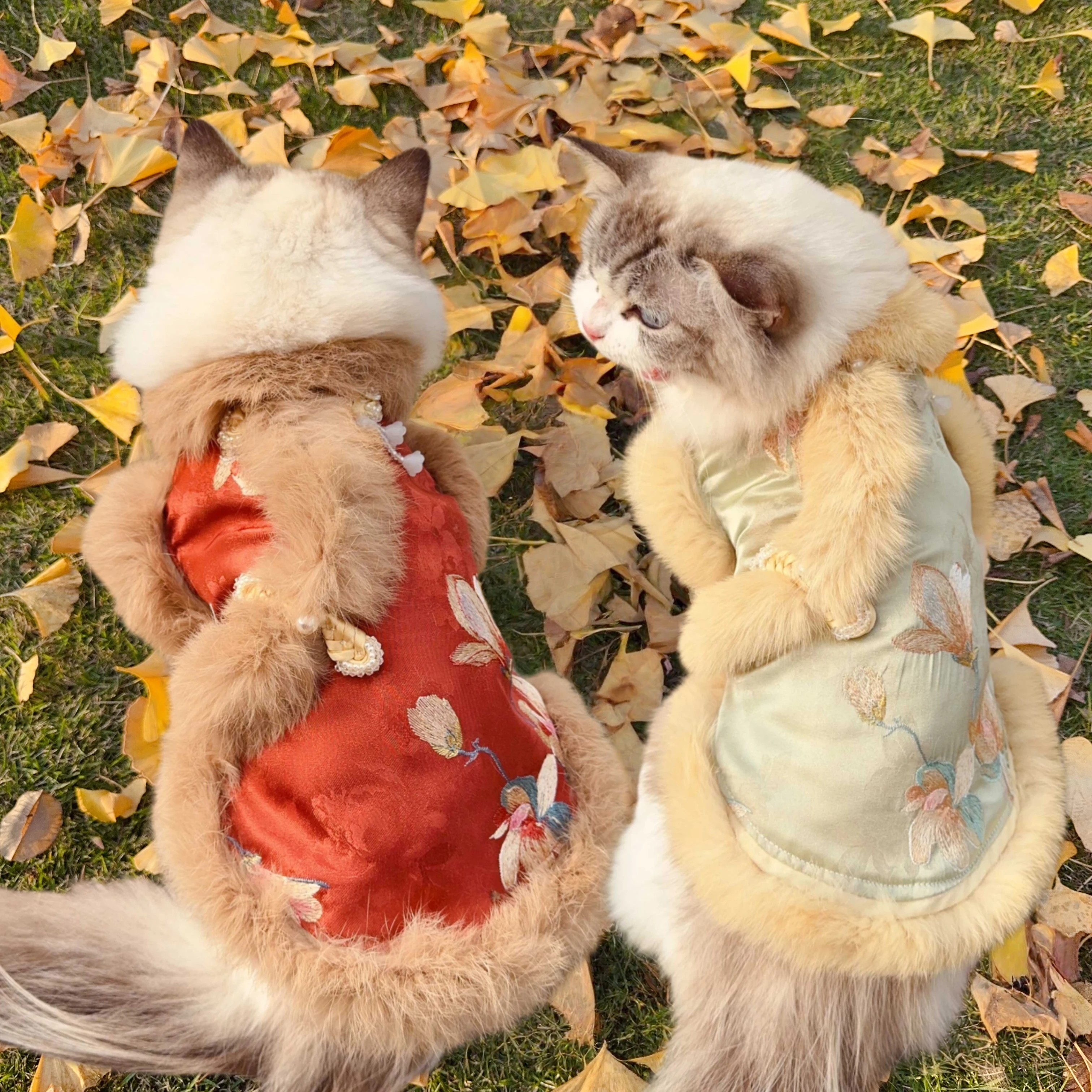 

Pet Dog Clothes Plush Collar Coat for Small Cats Autumn Winter Dog Jacket Christmas New Year's Apparel Warm Dressing for Pets