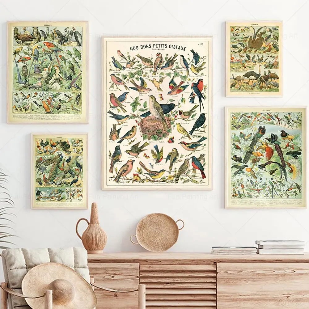 Vintage Bird Print Ornithology French Birds Poster Gifts for Birders Education Wall Art Canvas Painting Living Room Home Decor