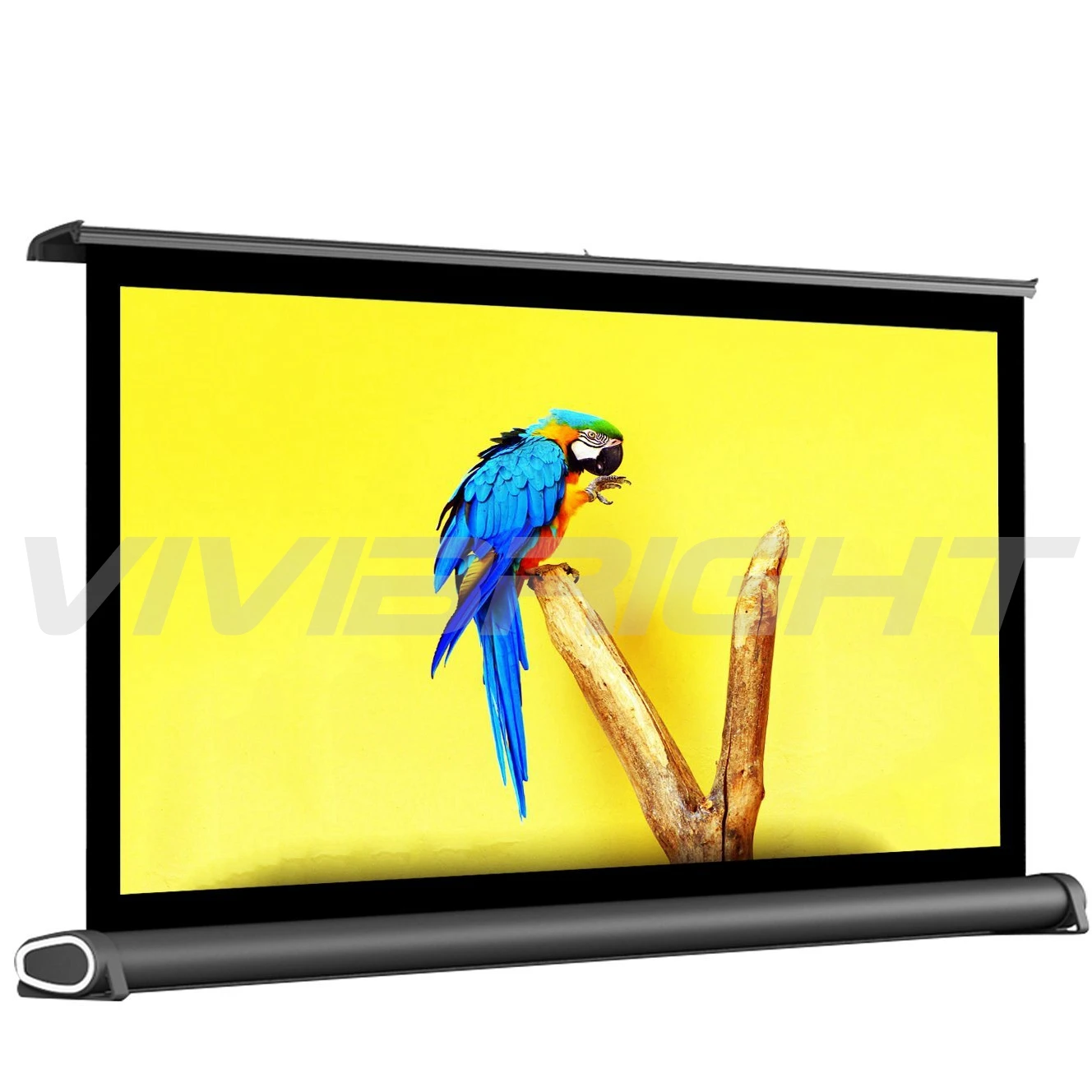 

2025 hot sale 120'' Portable Tripod Projection Screen ,simple Screen for Portable Projector Video Entertainment