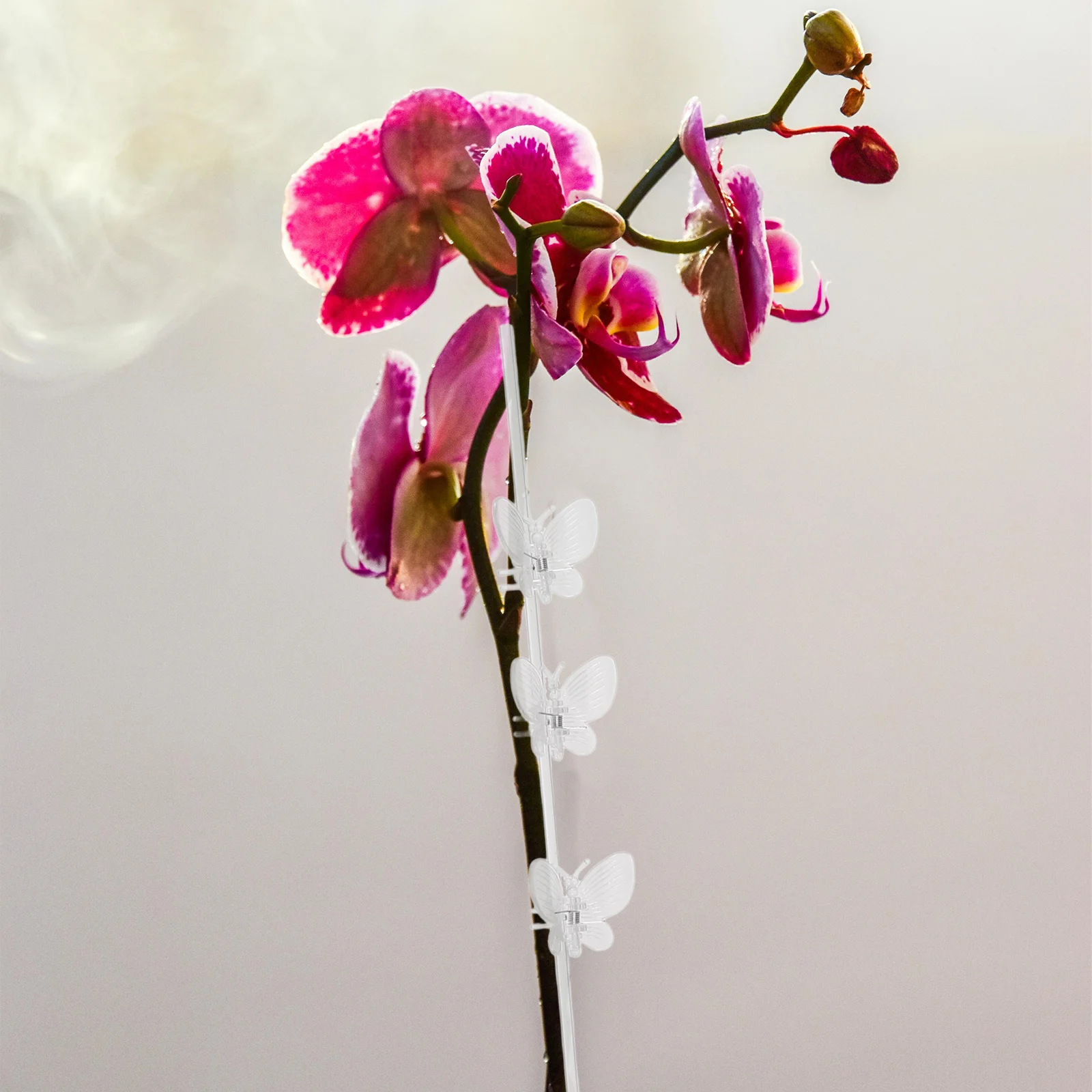 

1 Set Transparent Plastic Plant Stakes Straight Stem Support For Potted Vine Plants Garden Flower Climbing Rack Cage Support