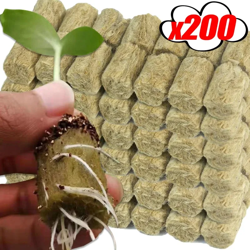 10/200x جولة Rockwool كاتب المقابس Rockwool تنمو المقابس الزراعة المائية تنمو وسائل الإعلام البذور كاتب كيت المنزل داخلي إكسسوارات الحديقة