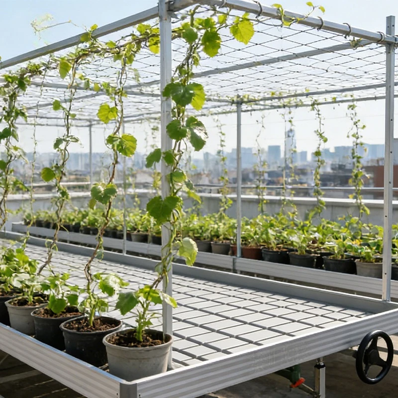 Three-dimensional climbing grid tidal seedbed, vine crop cultivation equipment, hot-dip galvanized anti-corrosion and anti-rust