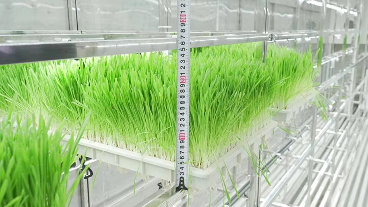 Contenitore per sistemi di ricerca idroponica per sistemi di coltivazione idroponica agricola