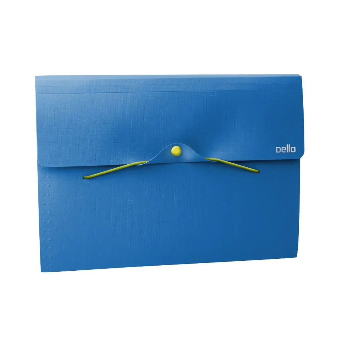 A4 Full Color Blue Sanfonada Folder with 12 dividers