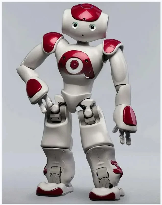 FOR Aldebaran Robotics Nao Humanoid Robot V5 Version