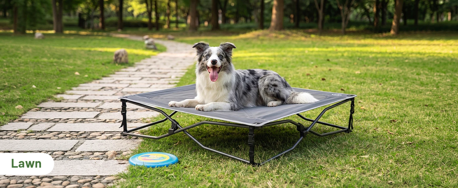 dog cot