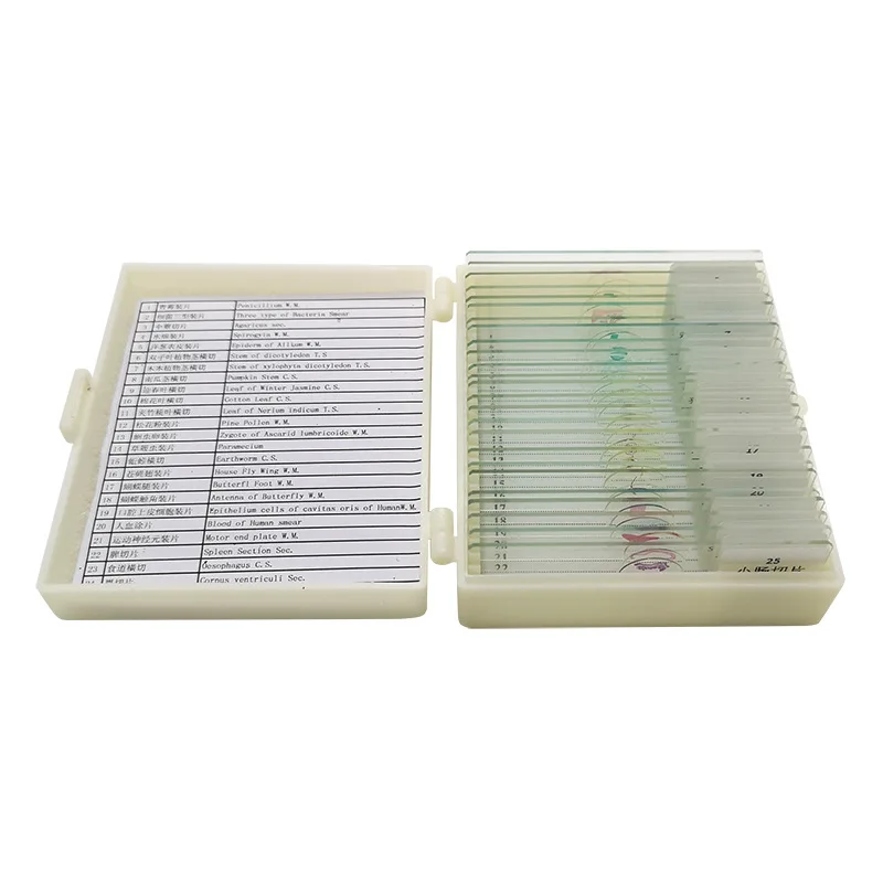 Biology Prepared Biological Basic Science Microscope Glass Slides School and Laboratory English Label Teaching Samples