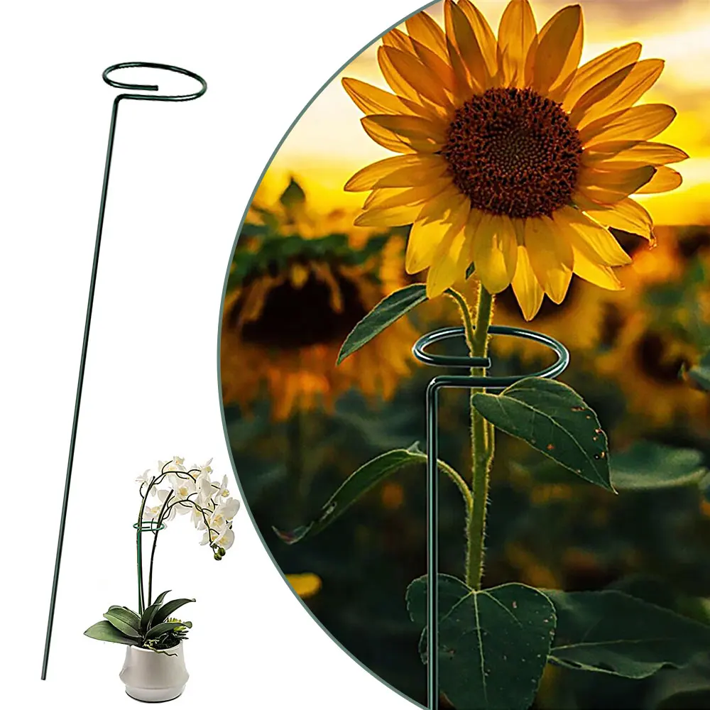 

Metal Plant Bow Stand Stake Strong Round Garden for Flower Support