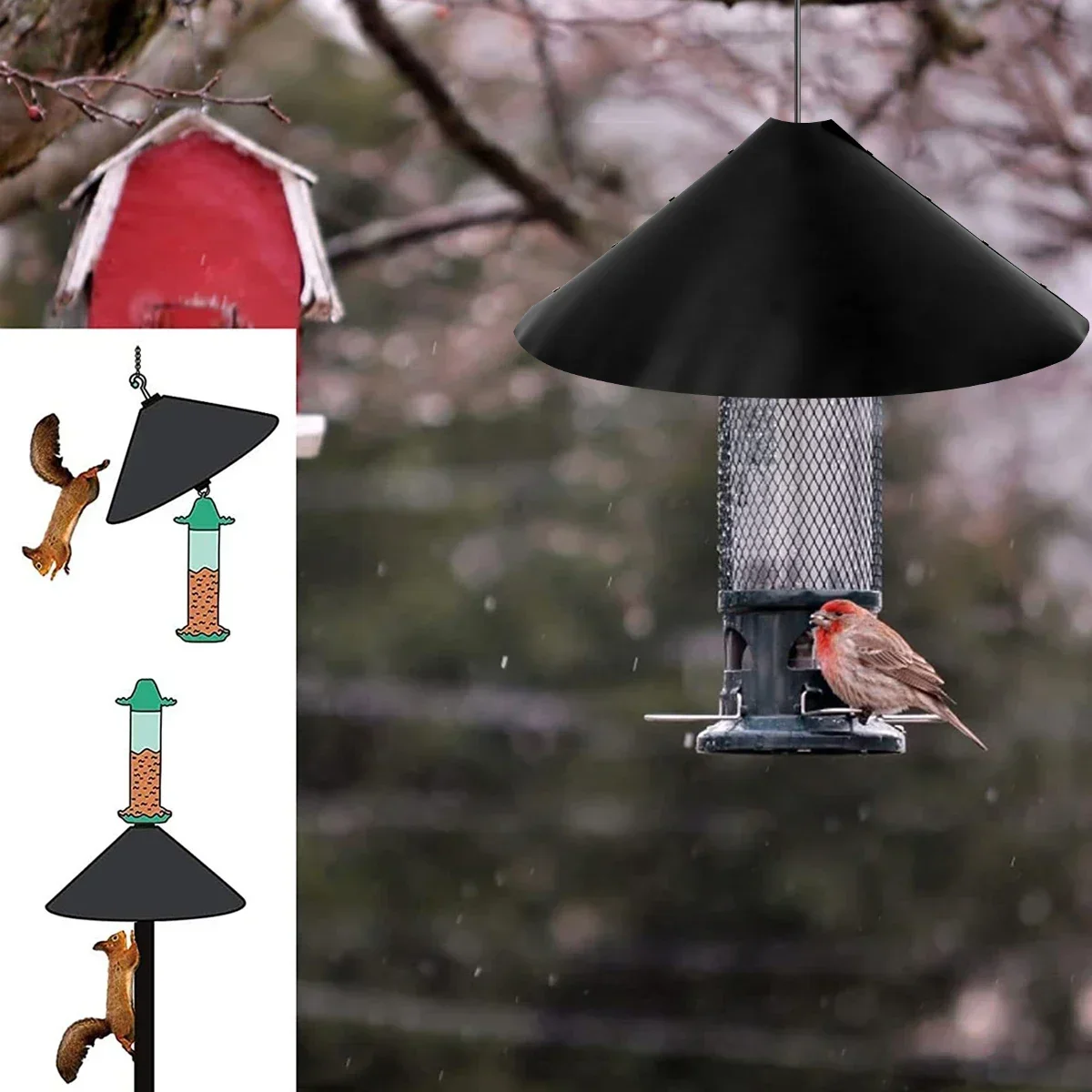 Thumbnail 3 - #4 Trending Squirrel Feeders Right Now