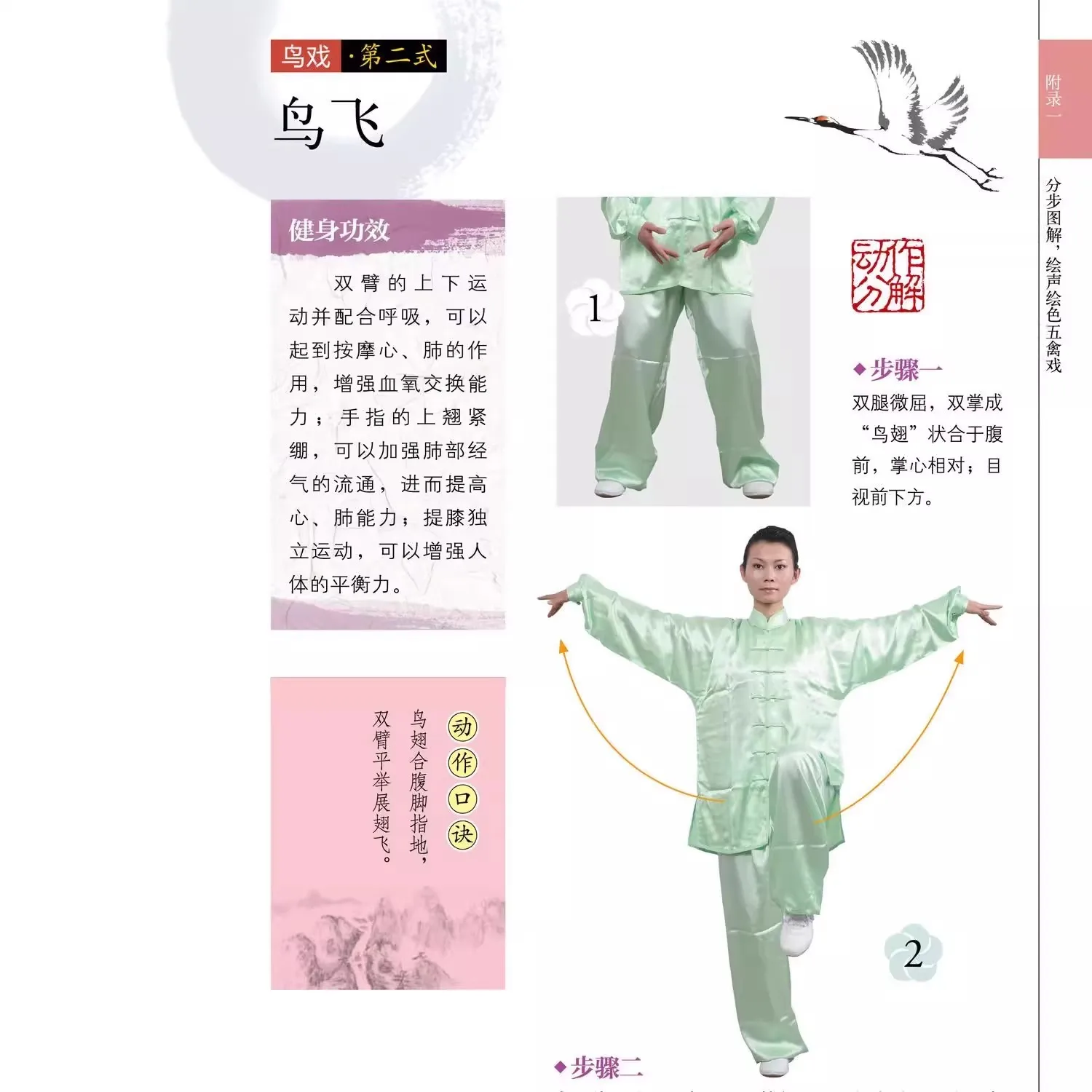 Livre d'arts martiaux chinois, Kung Fu, Micidal Strated Baduanjin, Taijiquan