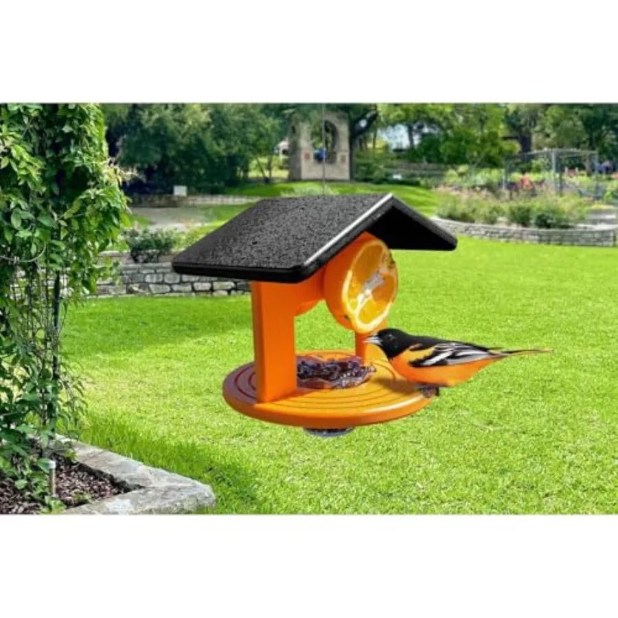 

Baroque Beauty Hanging Oriole Feeder 9.25" x 7.75" x 7.25" High Density Poly Resin Holds 2 Orange Slices and Jelly Eco-Friendly