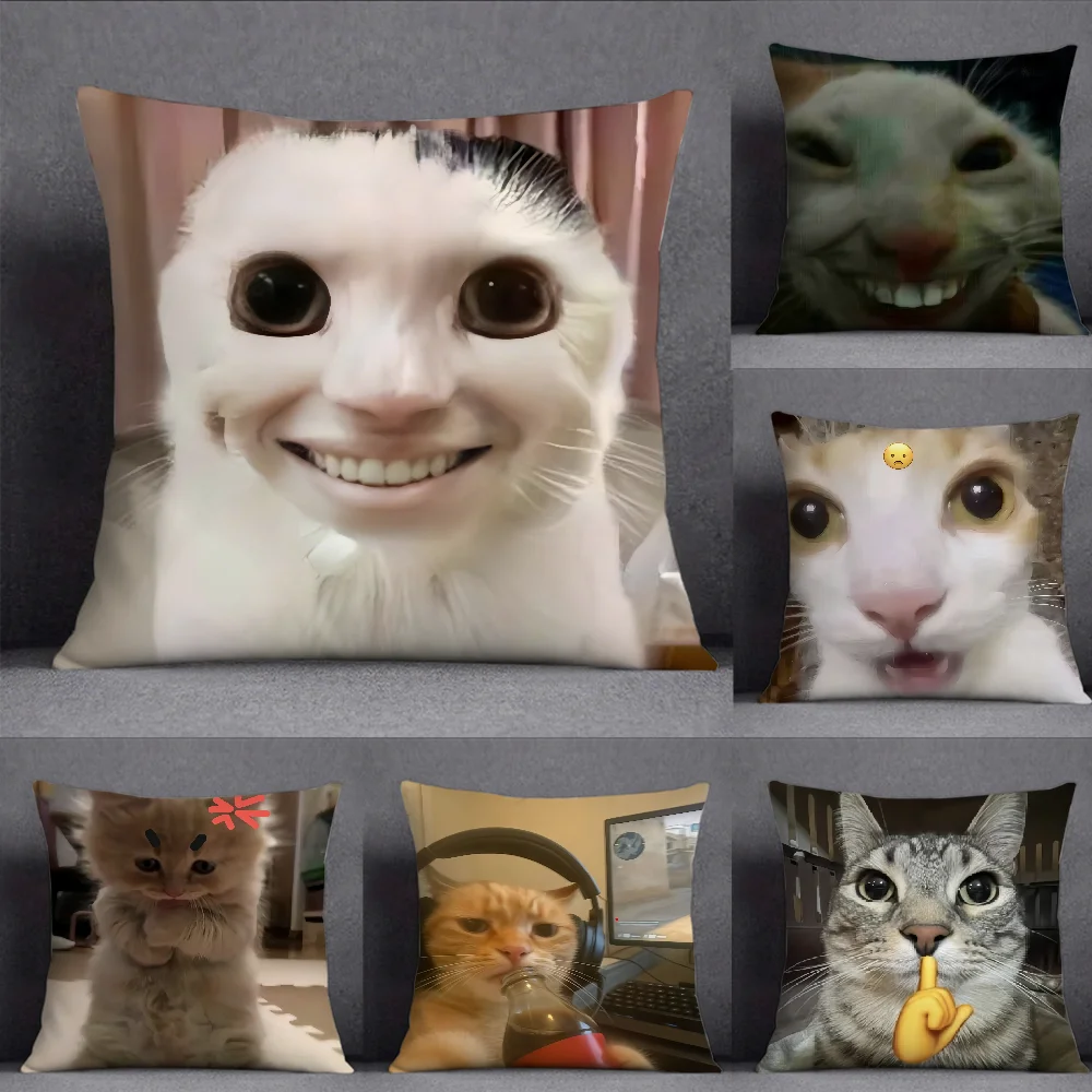 Cat funny MEME Pillow Case Square Double-Sided Printing Short Plush Sofa Cushion Cover Bedroom Bedside Pillow