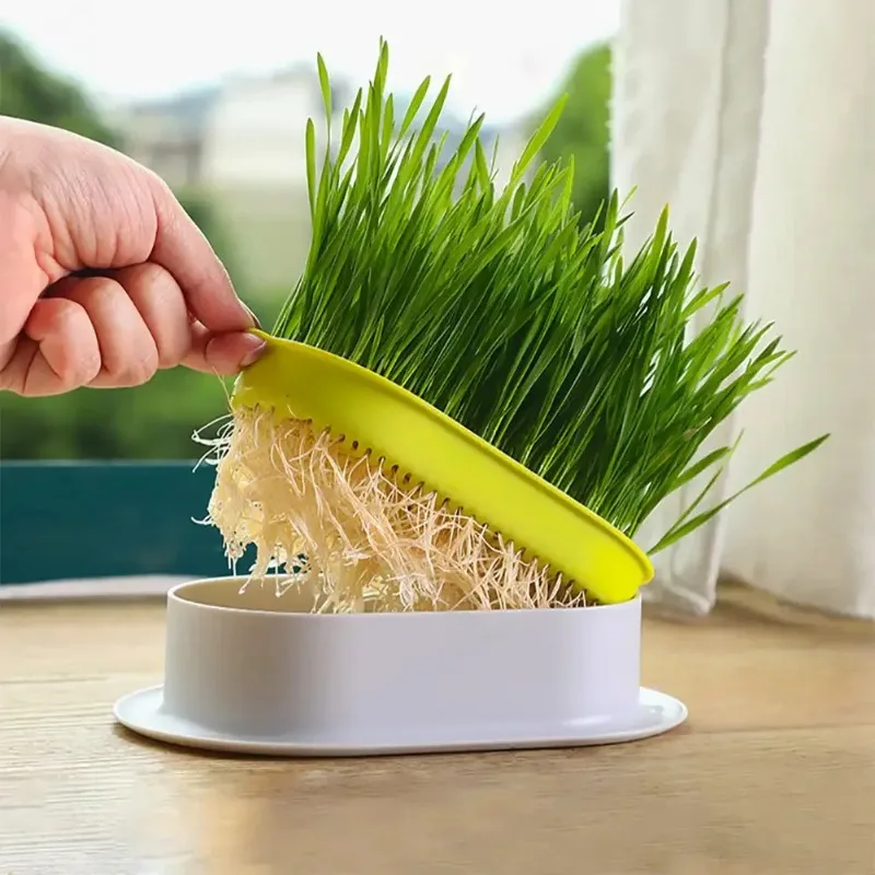 Pet Cat Grass Potted Hydroponic Plant Seedling Tray Growing Pot Reusable Garden Catnip Digestion Cleaning Stomach Grass Grow Box