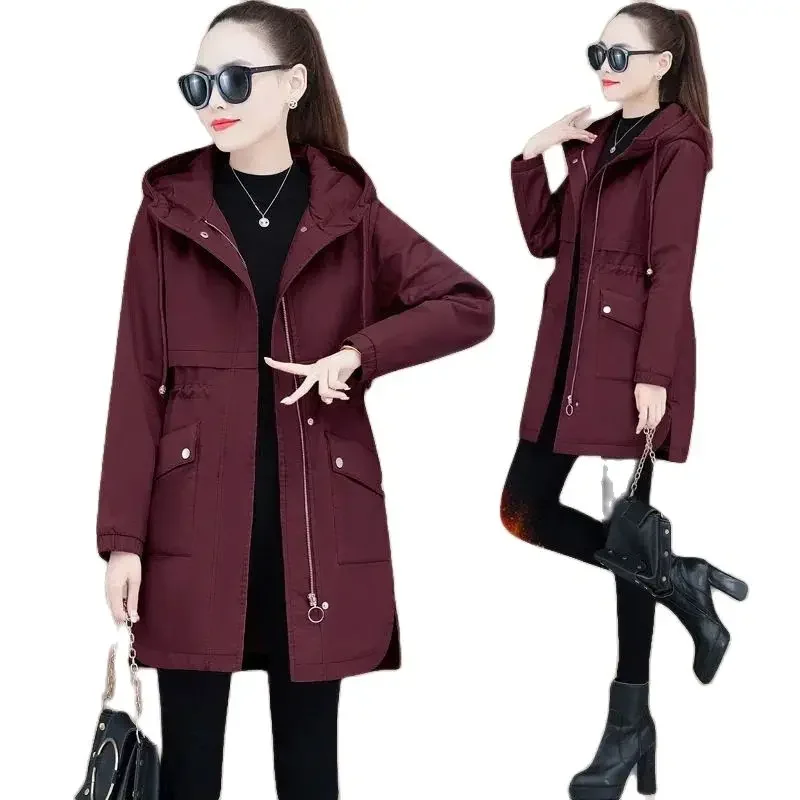 Winter Quilted Cotton Clothes Women\'s Korean Loose Jacket 2023 Hooded Thick Padded Jacket Fashion Padded Coat Female Parka