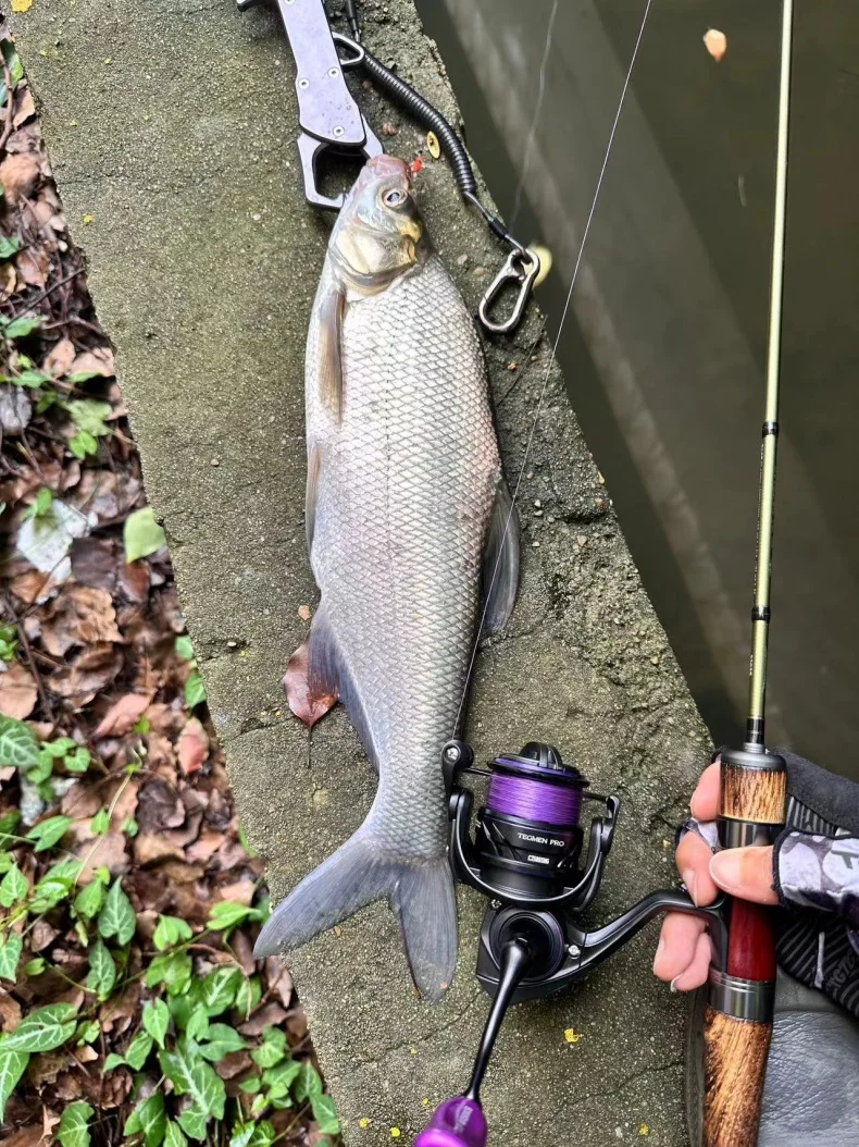 Kingdom STREAM KING Spinnrute 61,9g Ultraleichte Kohlefaser-Angelrute MF Action UL L Power Angelzubehör Reiserute – Detail 1
