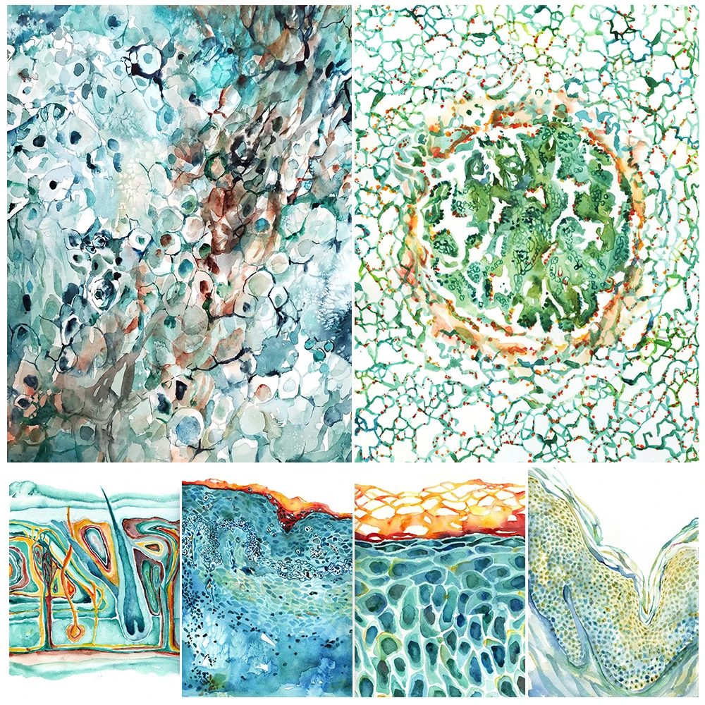 Integumentary System Skin Cell Anatomy Poster Wall Art Canvas Painting Home Decor Wall Pictures For Living Room Unframed