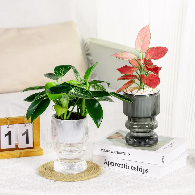 الإبداعية سطح المكتب الذاتي سقي كسول اناء للزهور تقليد الزجاج البلاستيك الشفاف الراتنج الصغيرة بوعاء النبات المائية زهرية إندو