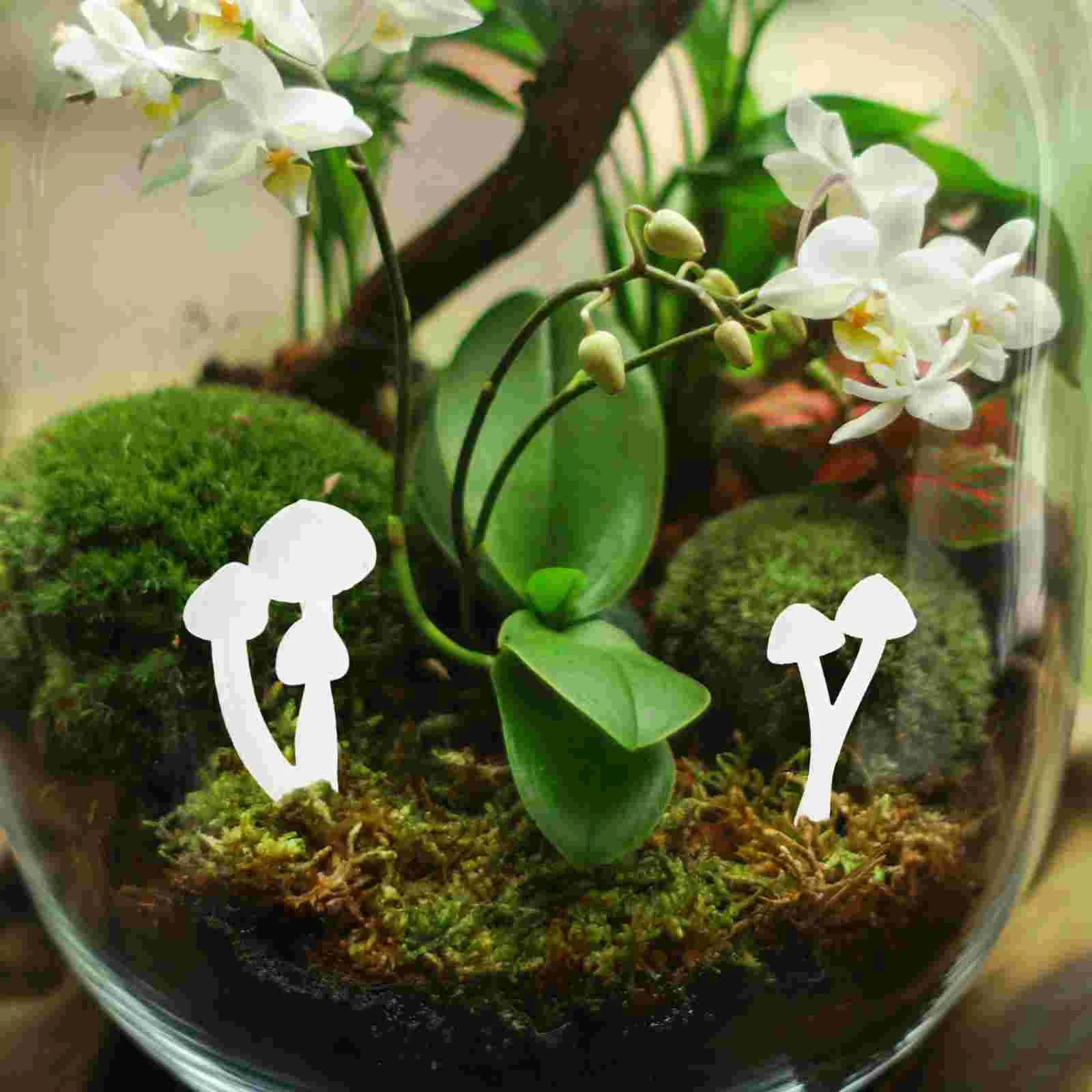 9 Pcs Mushroom Plant Figurines Artificial Dollhouse Decoration Micro Landscape Ornament