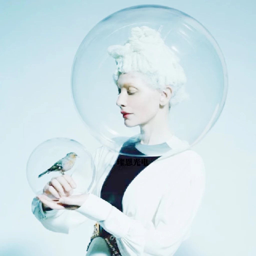 อะคริลิคใสโดม Photoshoot และทรงกลมใสสำหรับแสดงอะคริลิค Lucite Globe ฝาครอบ