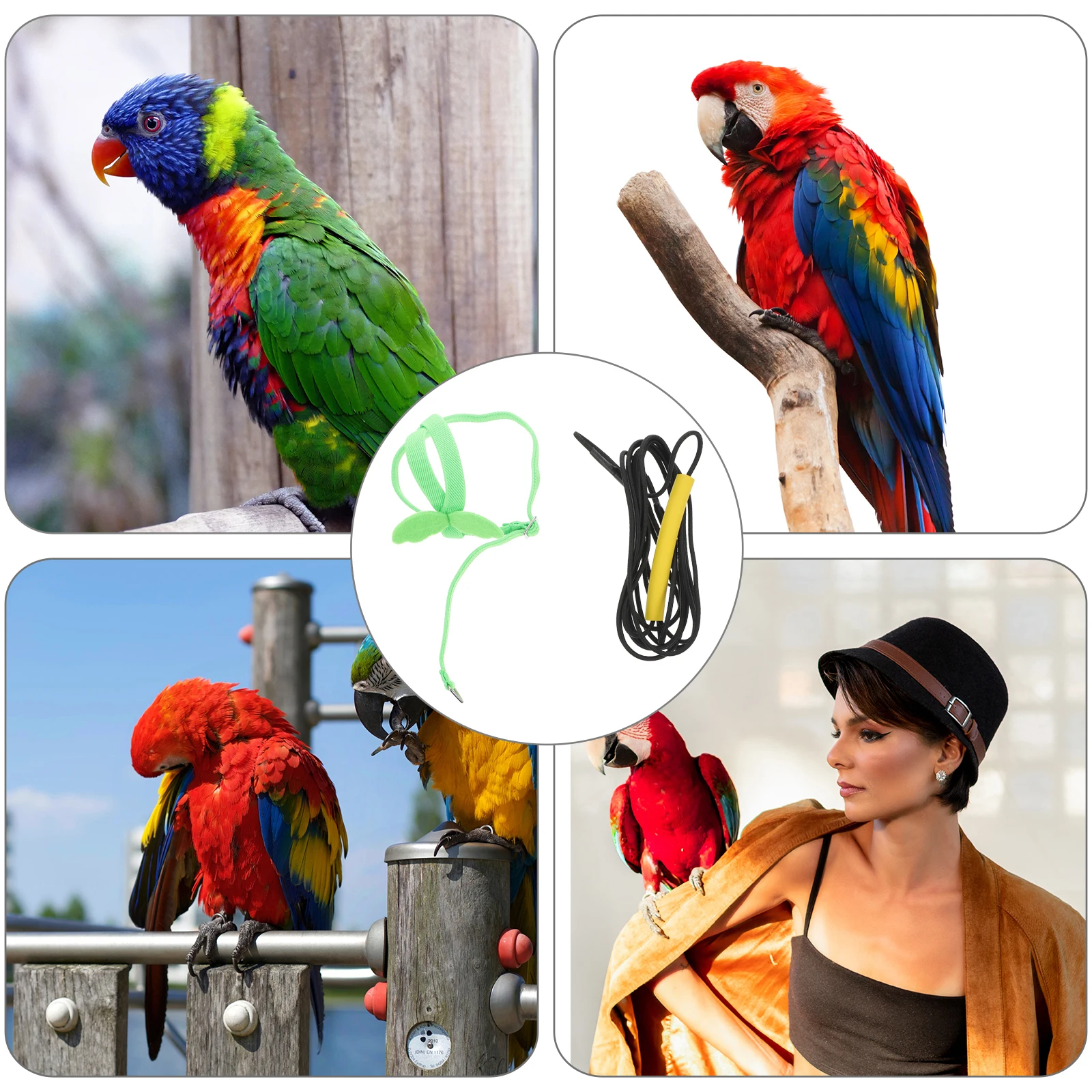 

1Pcs Parrot Escape Proof Traction Rope Adjustable Bird Leash Durable Flying Bird Harness Leash Parrot Training Rope