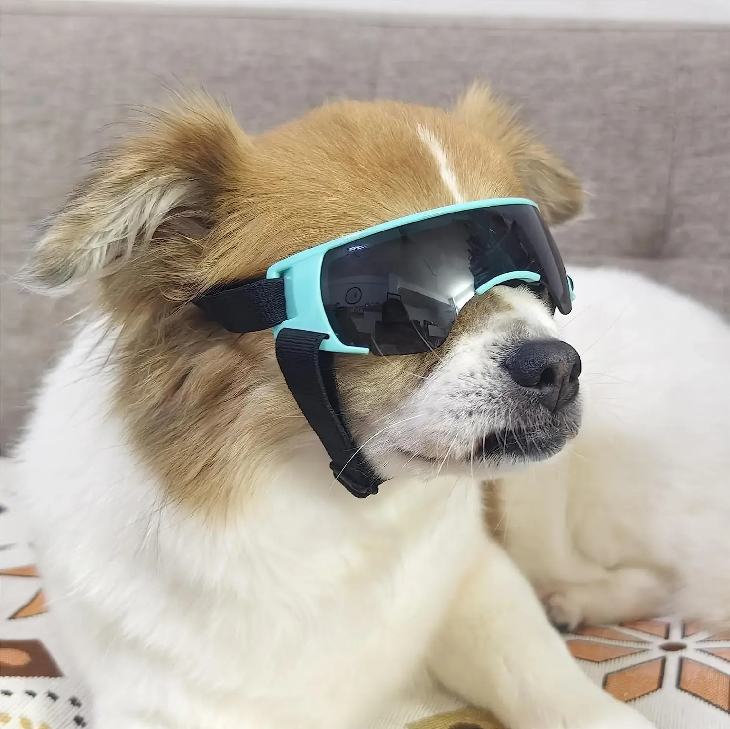 ATUBAN gafas de sol para perros de raza pequeña, gafas para perros pequeños, gafas Anti-UV a prueba de viento para perros, protección ocular al aire