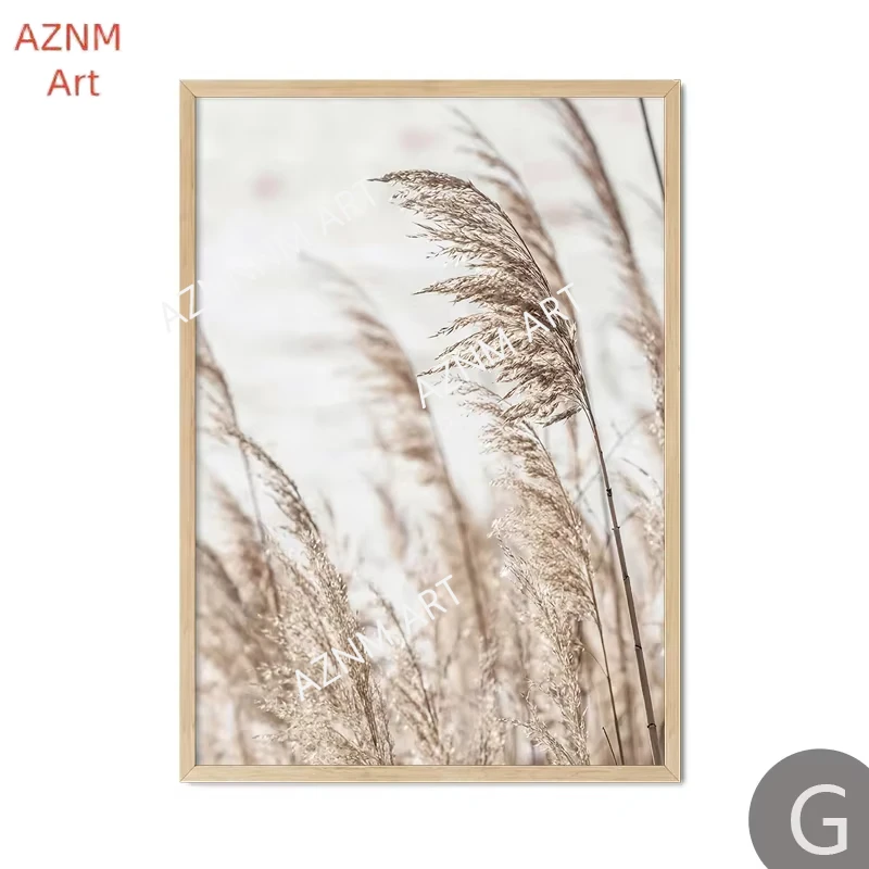 1pc Beige Strand Shell Nordic Leinwand Wand Kunstdruck Poster Landschaft Blatt Reed Dekor Malerei Elegante Bilder für Wohnzimmer
