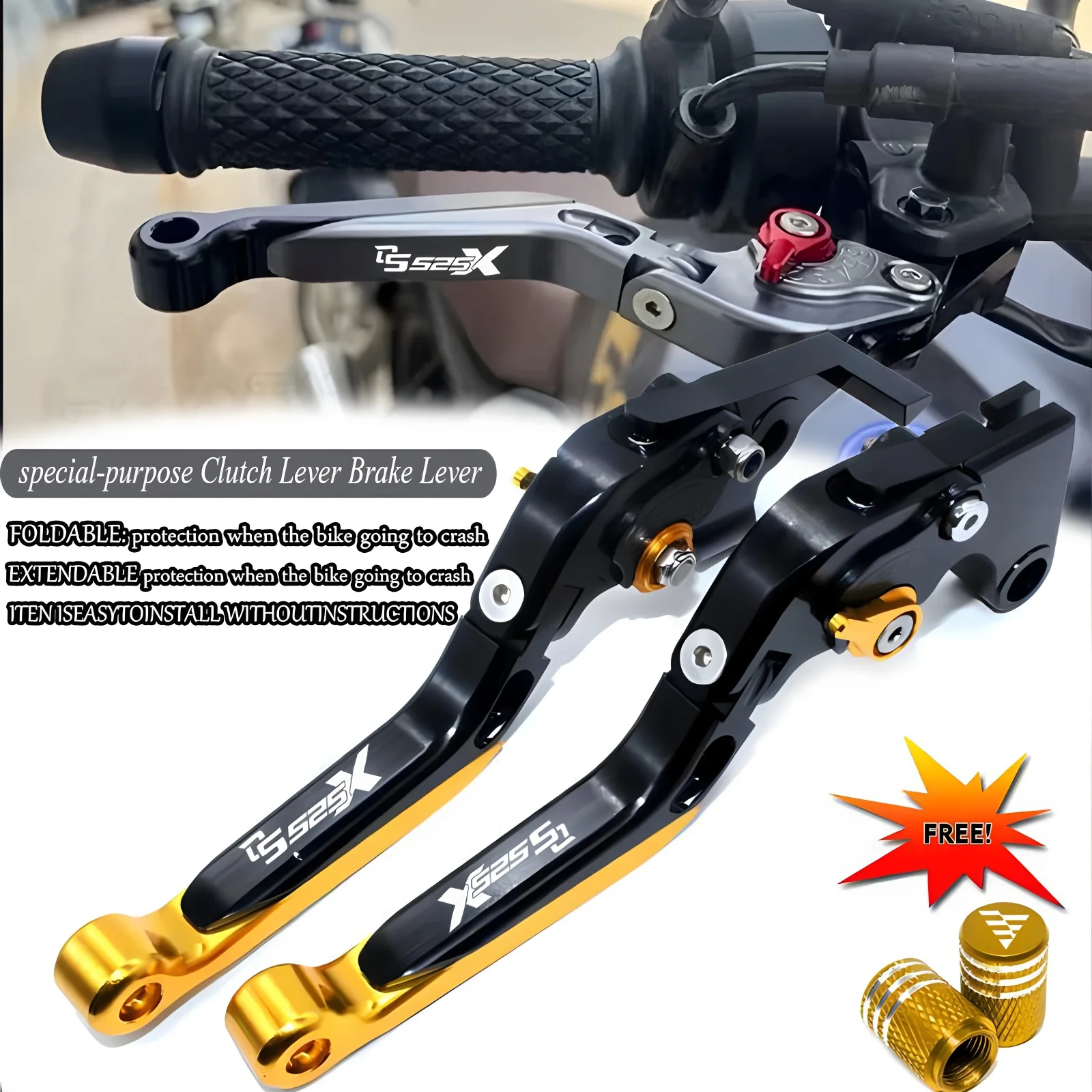 2025 DS525X Motorcy… - image