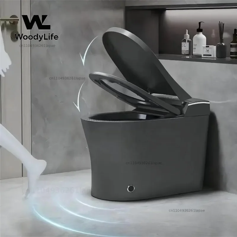 Sanitary Ware Grey Ceramic Intelligent Toilet Bathroom Automatic Wc Commode Smart Toilet for Hotel Bathroom