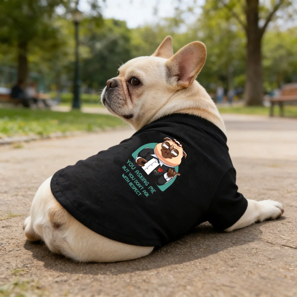 1pc Fashionable pet printed short sleeved shirt,cartoon  Pri