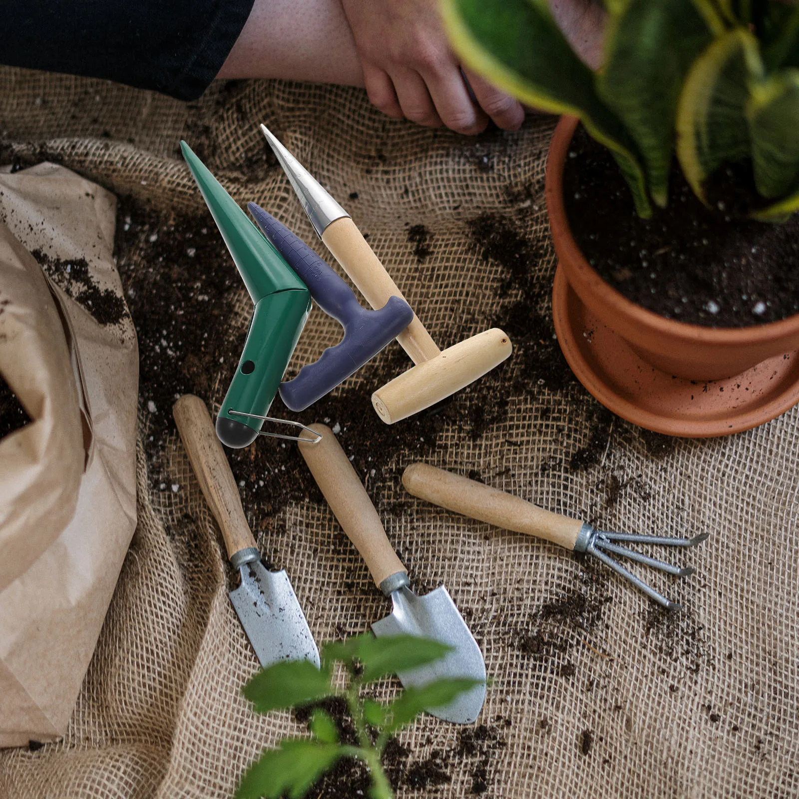 

1Set Garden Dibber Soil Puncher Wood Handheld Planting Tool Ergonomic Design Hole Digger for Seedling Transplanting Gardening