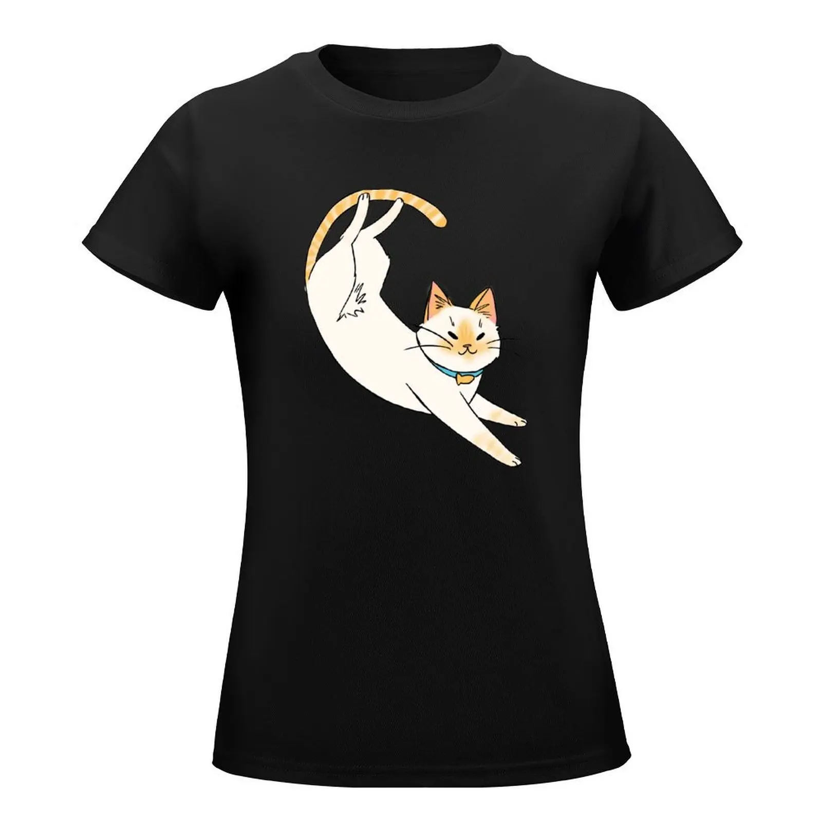 Rice Ball T-Shirt graphics funny summer tops quick drying luxury designer clothing Women