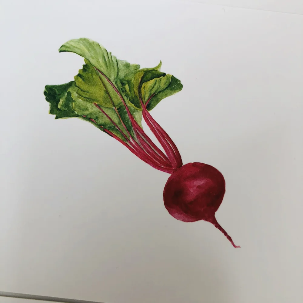 بطاقات الإدراك للخضروات، مواد لغة مونتيسوري، ألعاب تعلم الأطفال الصغار، لعبة تعليمية في مرحلة الطفولة المبكرة