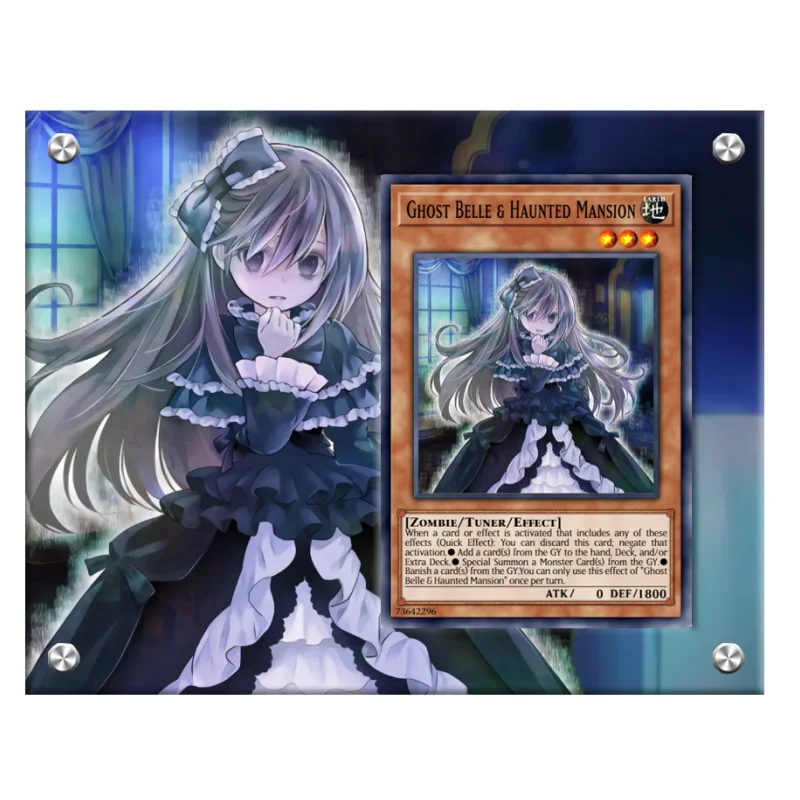 Yugioh Cards Brick TCG Ash Blossom Ghost Sister Anime Game Full Painting DIY Gift Does No Include Cards Acrylic Protective Case