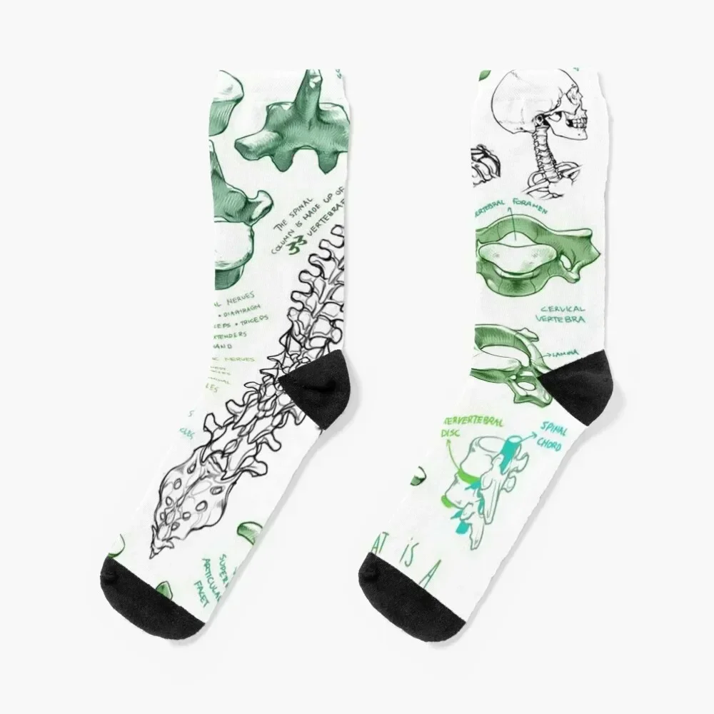 جوارب Spine Socks غير قابلة للانزلاق لرياضات التنس والترفيه الفاخرة للرجال والنساء