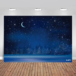 Winter Night Snowflake, Starry Sky, Moon, Blurry First Trees, Pine Forest Background, Christmas Merry Party Banner Decoration