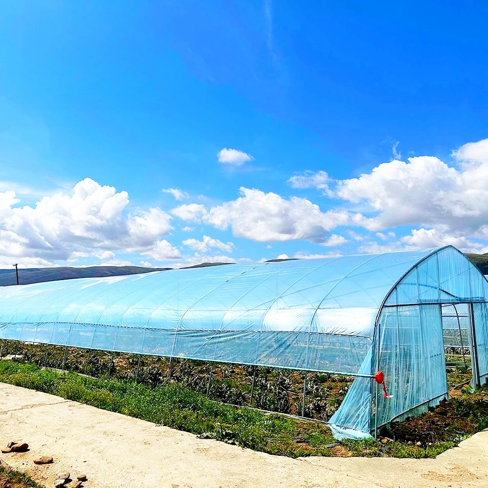 2025 대형 이중층 자동 전동 롤업 유닛 모터 (온실 PE 필름용, 농업용)