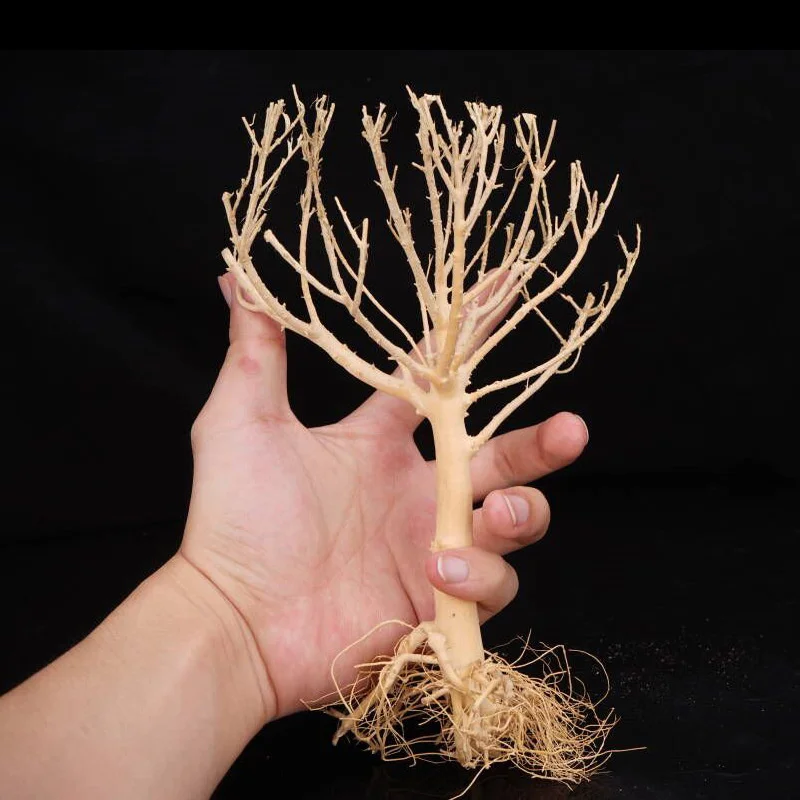 Driftwood Moss Tree Plants for Natural Driftwood Branches Aquarium Wood Aquarium Decoration Fish Tank Landscaping Decorations