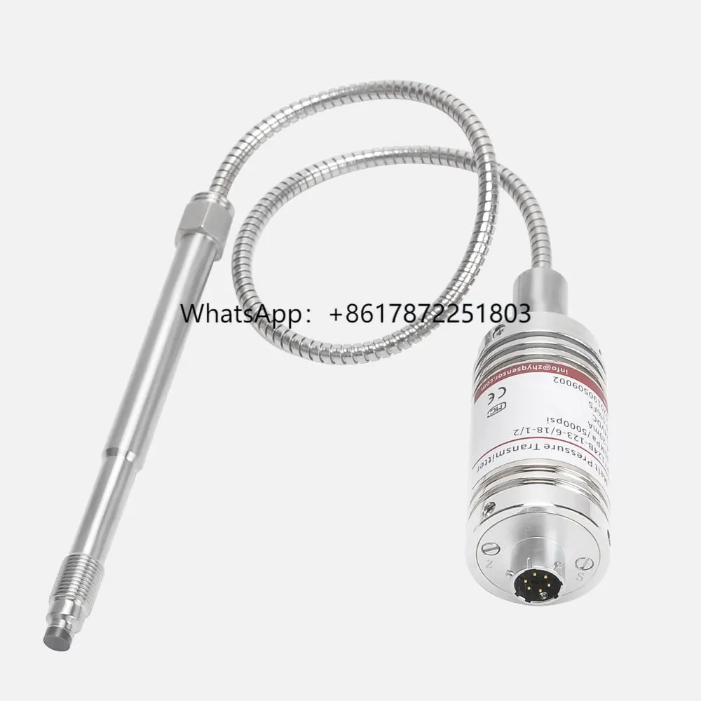 

High Accuracy 0.25%FS Flexible Tube Melt Pressure Transmitter