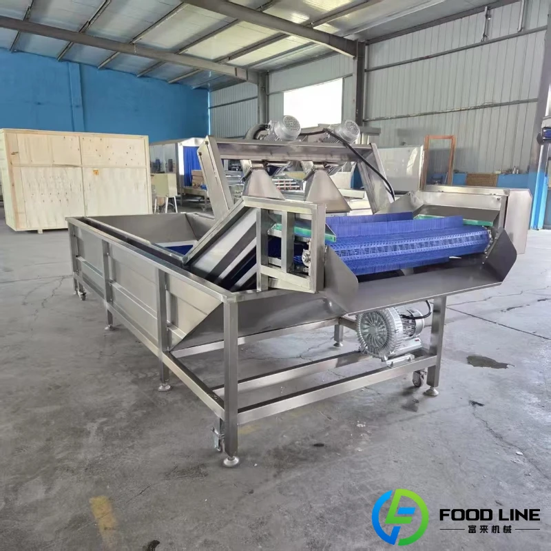 Customized Multi Purpose Bubble Cleaning Machine Universal For Vegetable Fruit Seafood Herb Agricultural Food Material Washing