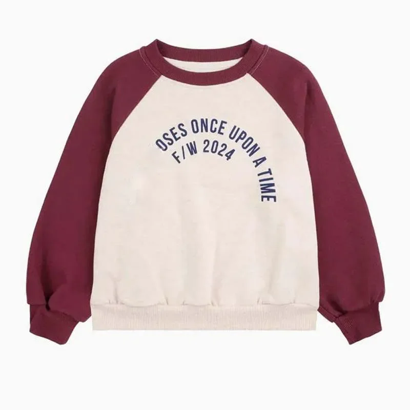 some in stock 2024 BC Autumn Kids Sweatshirts Girls Cute Print Skirts Baby Children Cotton Top Boys Shirts