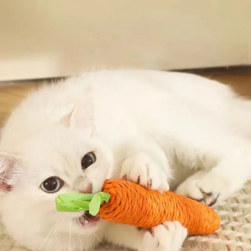 Karotte Katze Interaktives Spielzeug Kauen Stick Anti Biss Scratch Board Pet Training Versorgung Kuscheln Auto Stick Haustier Spielzeug