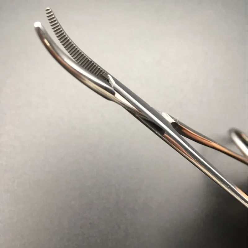 Pinza da pesca in acciaio inossidabile forbice Line Cutter Hook pinze Tackle morsetti a punta curva strumenti di rimozione pale e corda