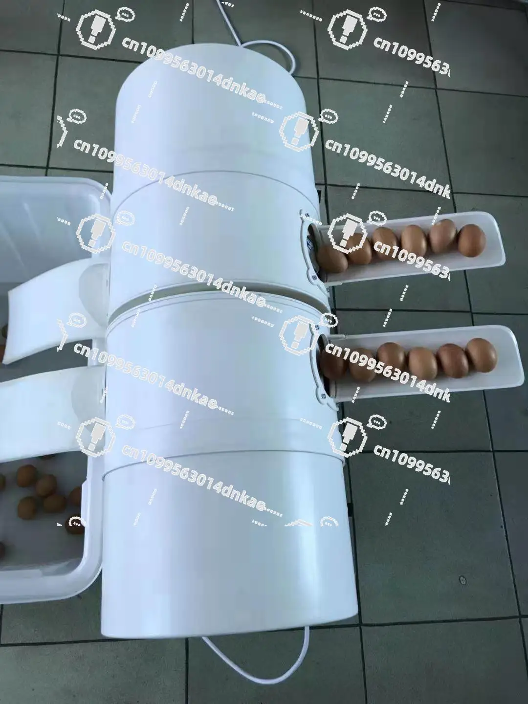 Factory Direct Sales Genuine Egg Washing Machine/duck Egg Washing Machine/new  Machine/small  Machine