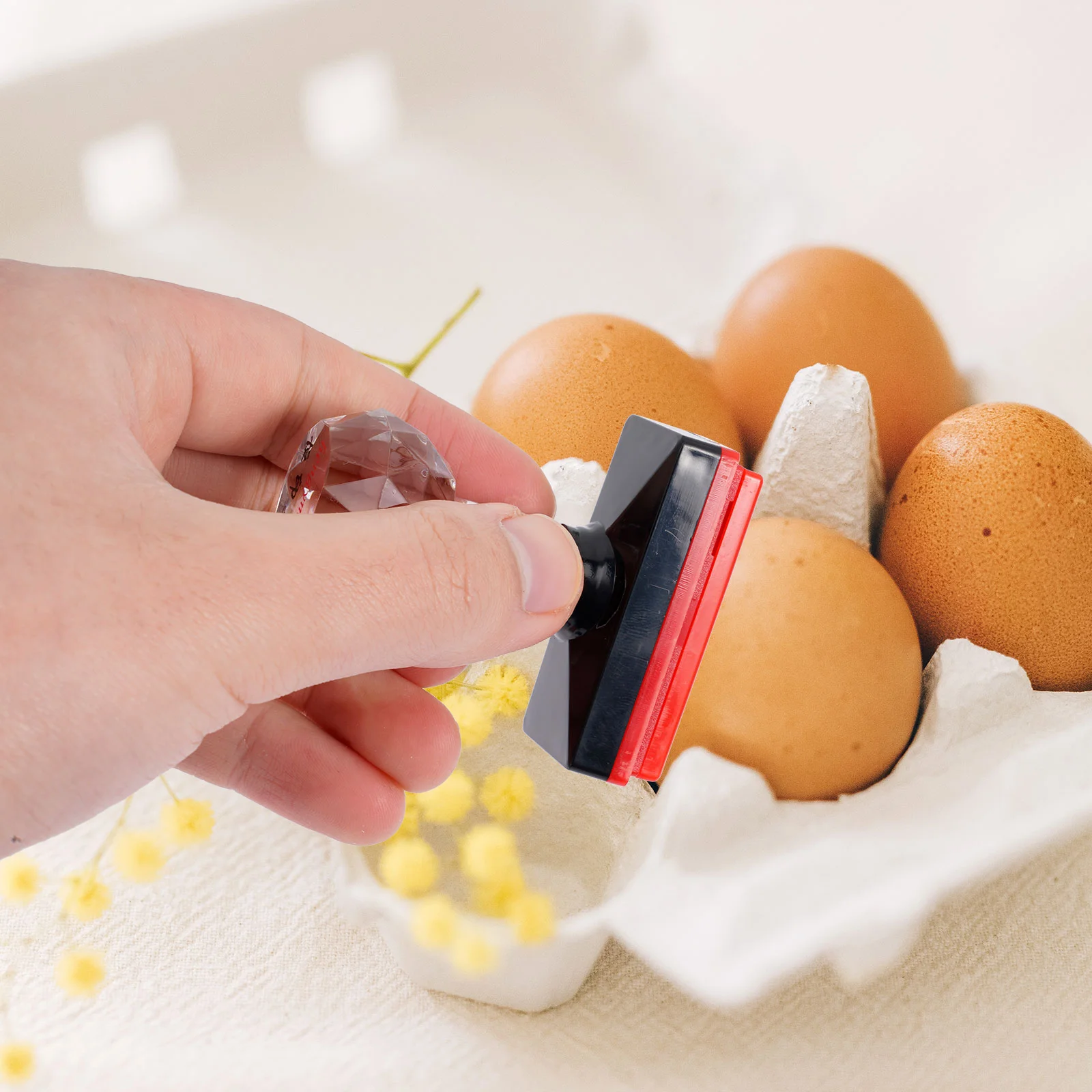 Stamper for Chicken Egg and Chicken Egg, Farm Sign Stamp Accessory