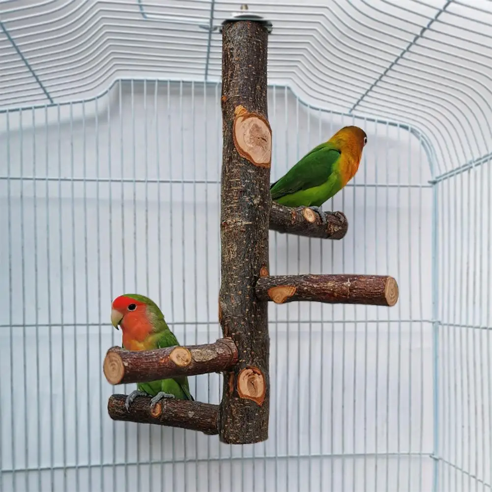 Natural Wood Bird Perch Stand Hanging Multi Branch Perch for Parrots Parakeets Cockatiels Conures Macaws Love Birds Finches