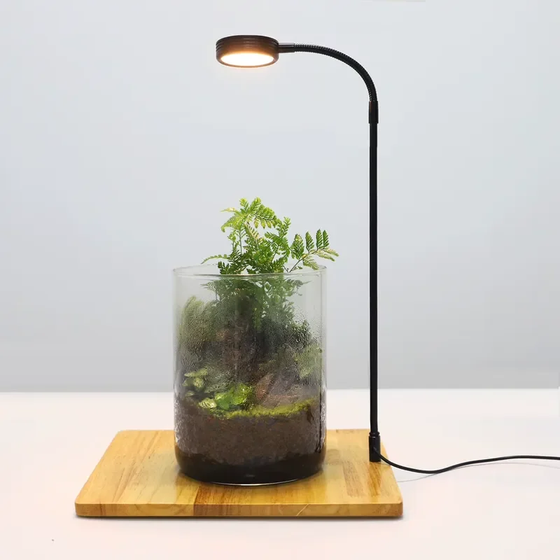 Full Spectrum Micro Landscape LED Illumination Lamp Bamboo Grow Light Stand with Bamboo Board